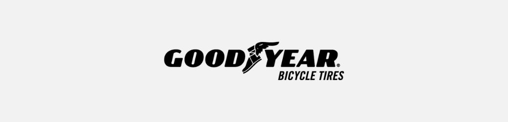 2024 goodyear footer